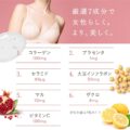 セルノート　BV LINE supplement+の画像