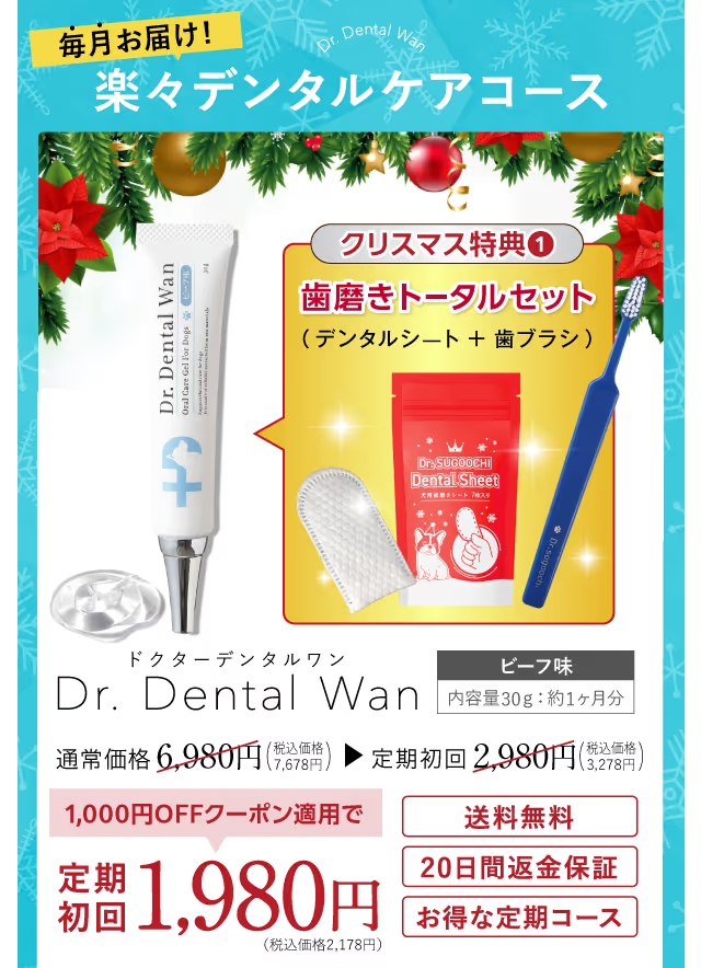 新品2本♡】Dr. Dental Wan デンタルケア 30g 2本セット