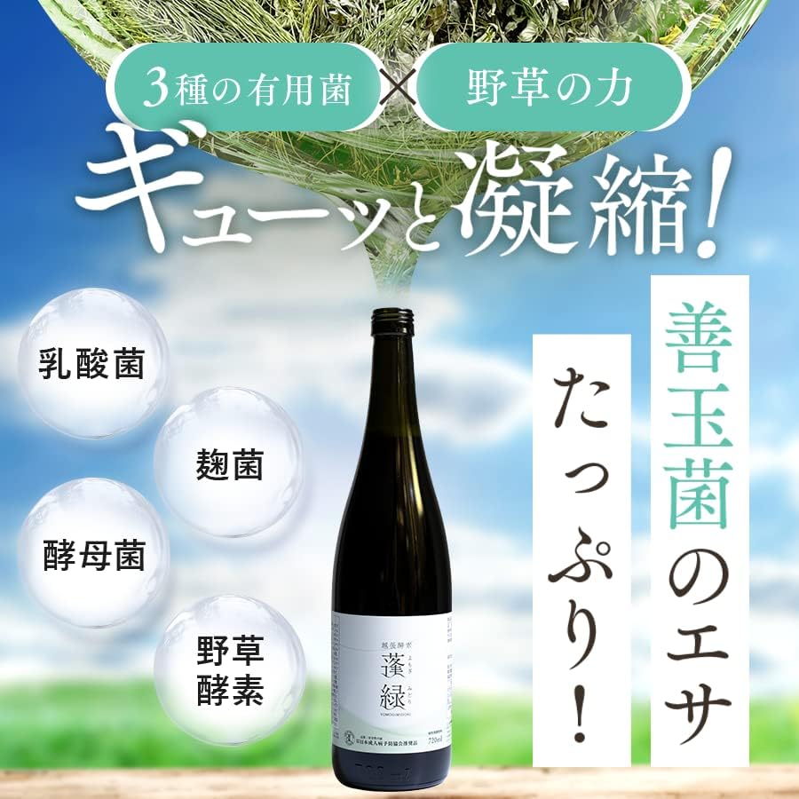 蓬緑 720ml×2 野草と発酵の力をあなたに。伊勢丹・高島屋で
