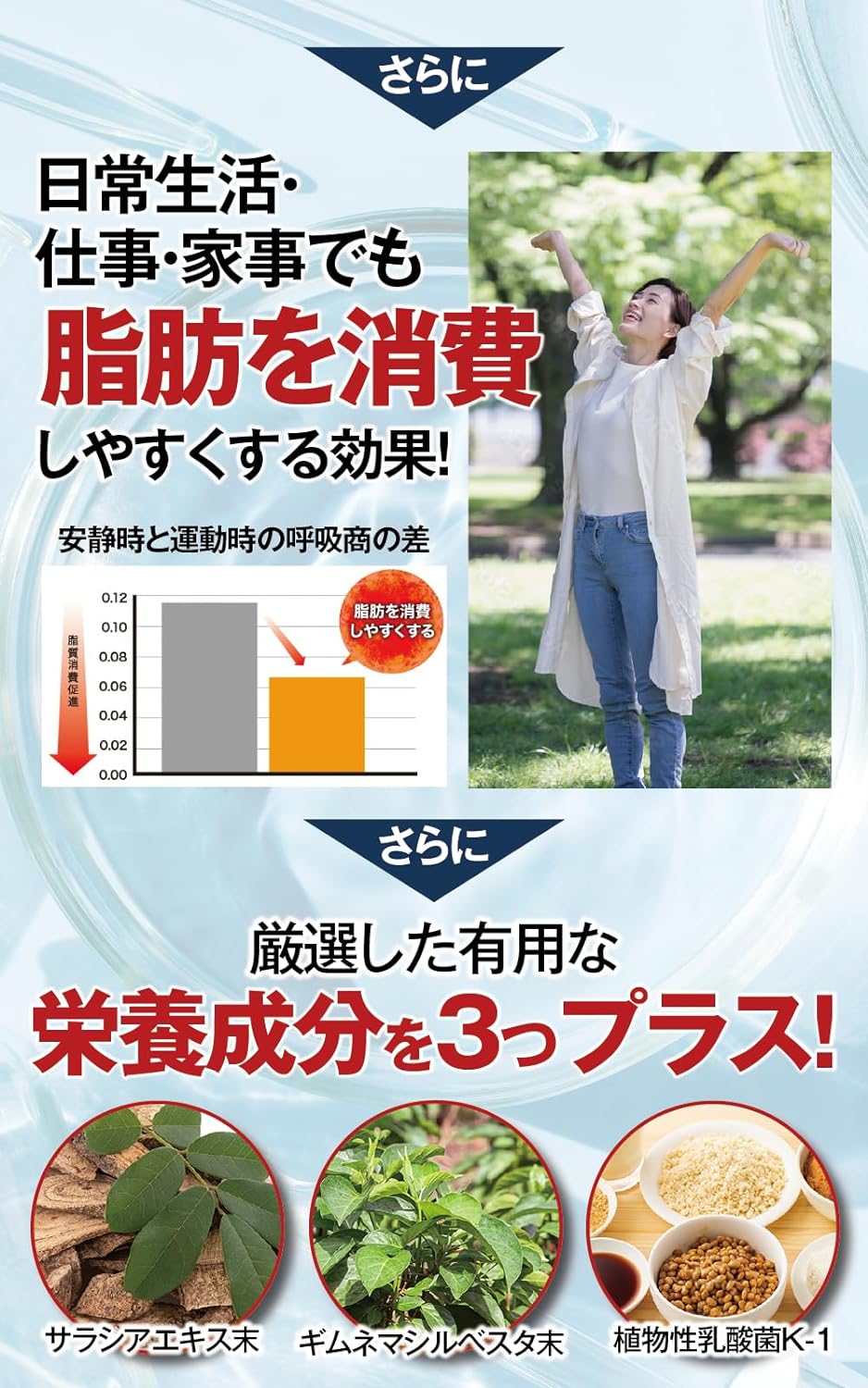 痩せるの？】モヤセルの悪い口コミや評判は？効果や特徴、販売先を紹介