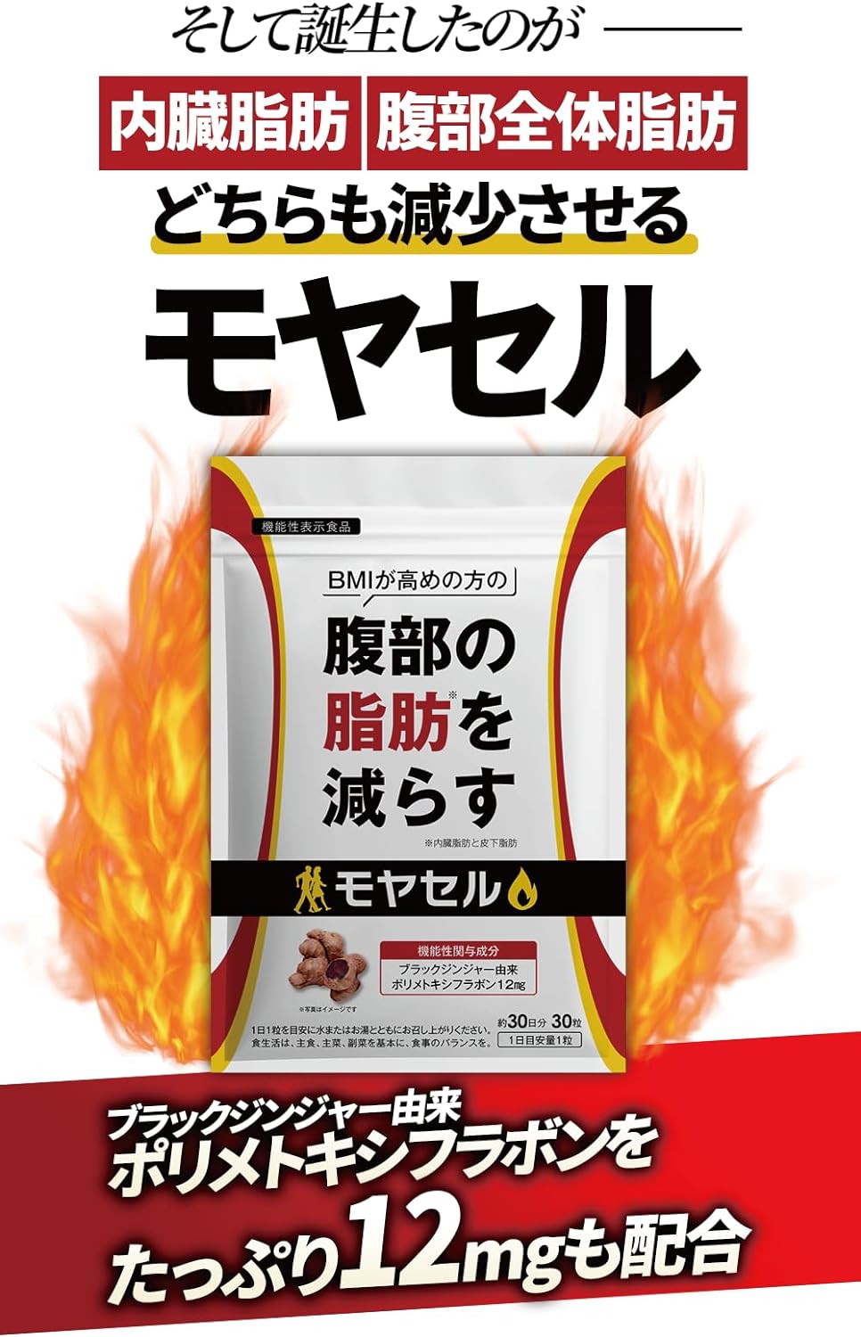 痩せるの？】モヤセルの悪い口コミや評判は？効果や特徴、販売先を紹介