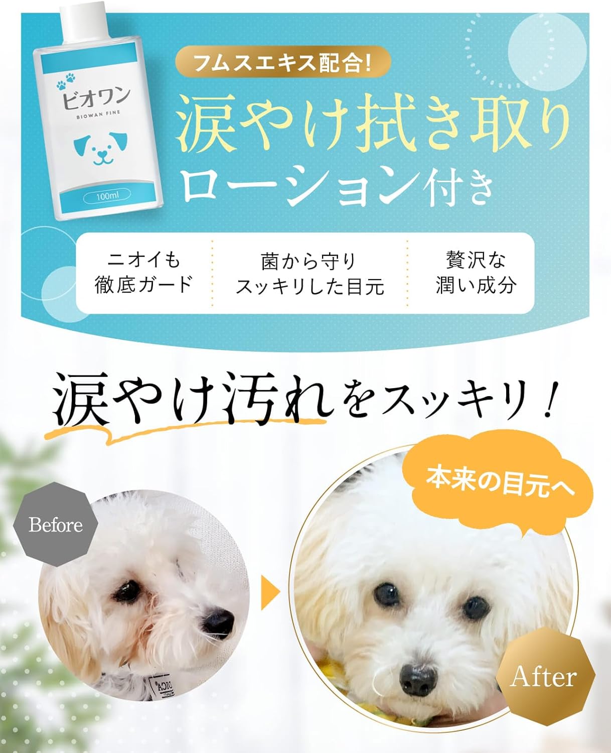 口コミ】犬用涙やけケア「ビオワンファイン」は安全？サプリ・拭き取り
