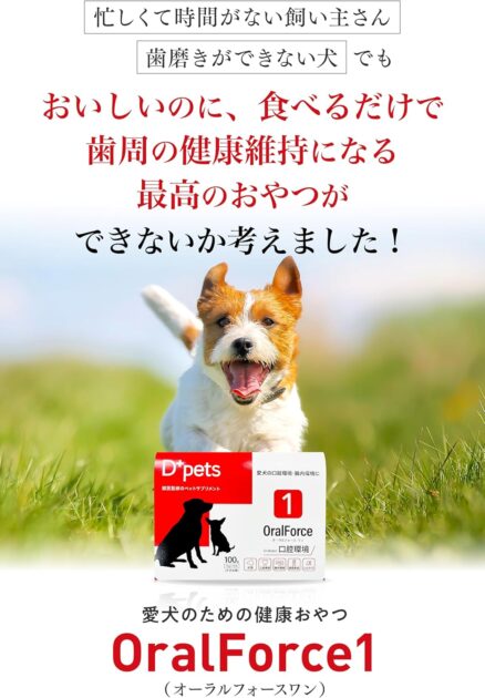 オーラルフォースワンの画像