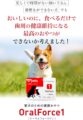 オーラルフォースワンの画像