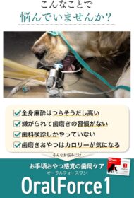 オーラルフォースワンの画像3枚目