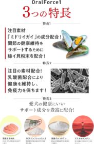 オーラルフォースワンの画像4枚目