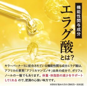 キラーバーナー2の画像5枚目