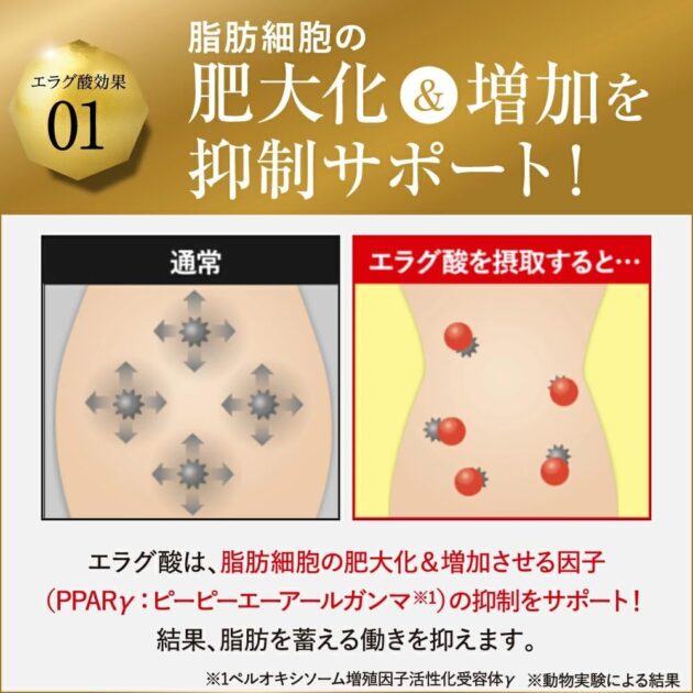 キラーバーナー2の画像