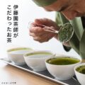 「 伊藤園 緑茶 」 ラベルレス 500ml×24本の画像