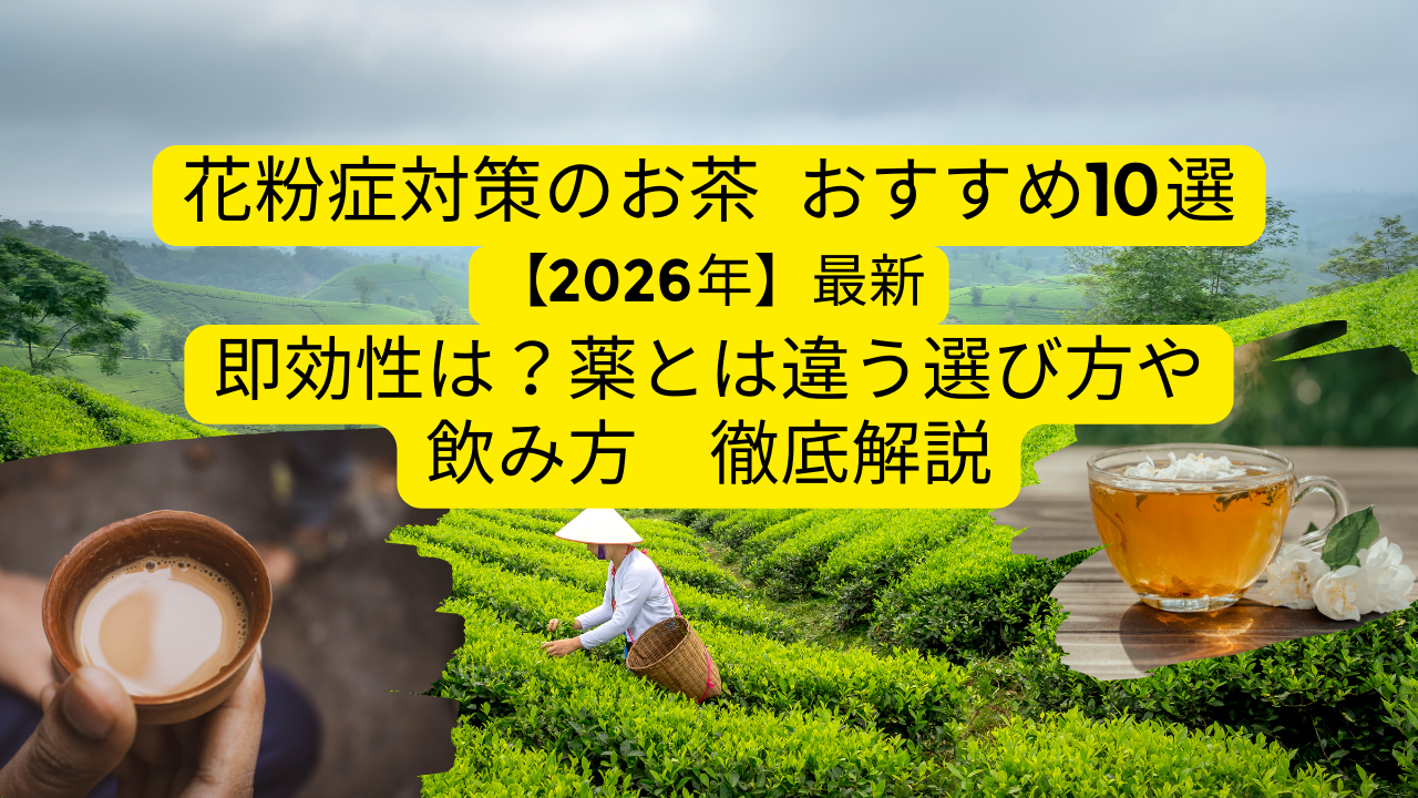 【2026年】花粉症対策のお茶おすすめ10選！即効性は？薬と違う選び方と飲み方を徹底解説のアイキャッチ画像