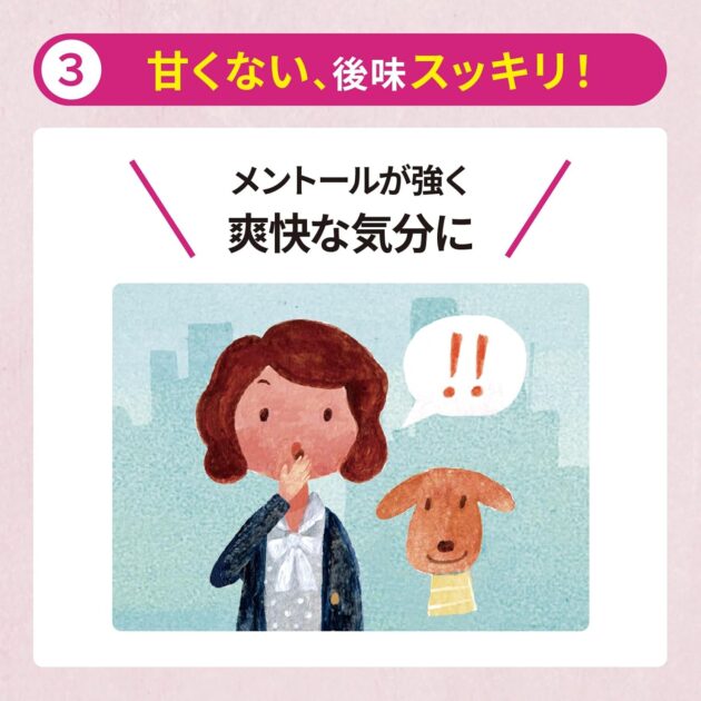 エキナケアのど飴 52gの画像