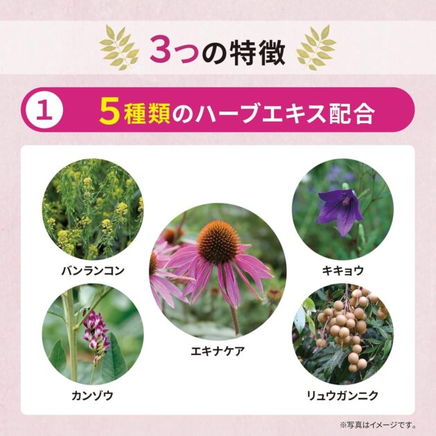 エキナケアのど飴 52gの画像