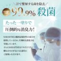 サラフィネ SARAFINEの画像