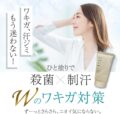 サラフィネ SARAFINEの画像